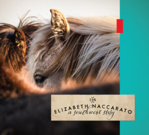 Elizabeth Naccarato | A Southwest Story | Review